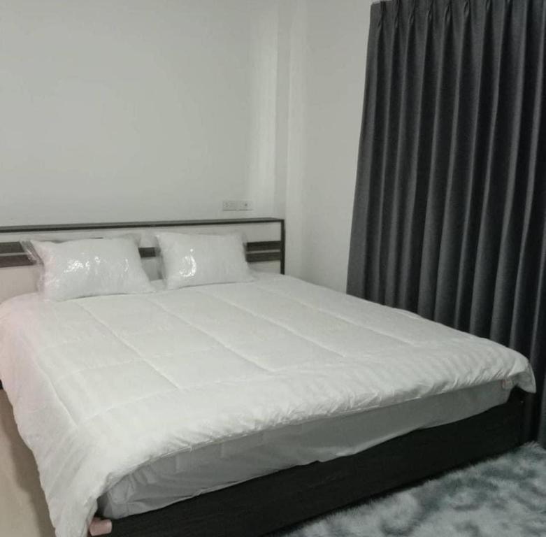 PLUEMCHAI Home
